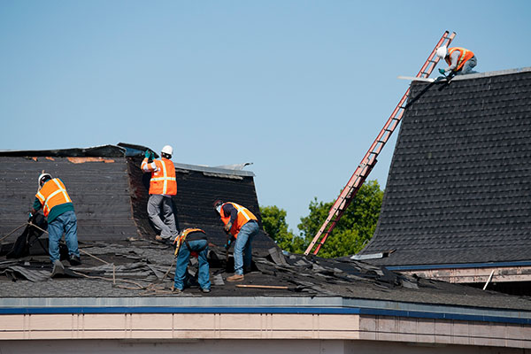 Professional Roofing Contractors